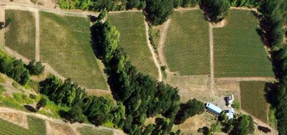 Aerial photo of Pelos Sandberg Vineyard