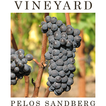 Pelos Sandberg Vineyard