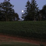Full moon over Ana