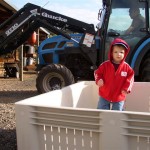 Cute 1/4 ton