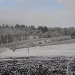 Snowy Abino