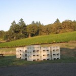 picking bins ready