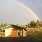 ROY G BIV