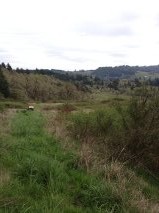 The new block before clearing.