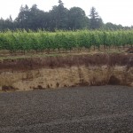 soil strata