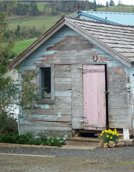 Pelos Sandberg Vineyard Shed